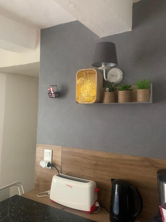 La Petite Adresse De Rose Maison De Vacances Entree Autonome Le Poujol-sur-Orb Экстерьер фото